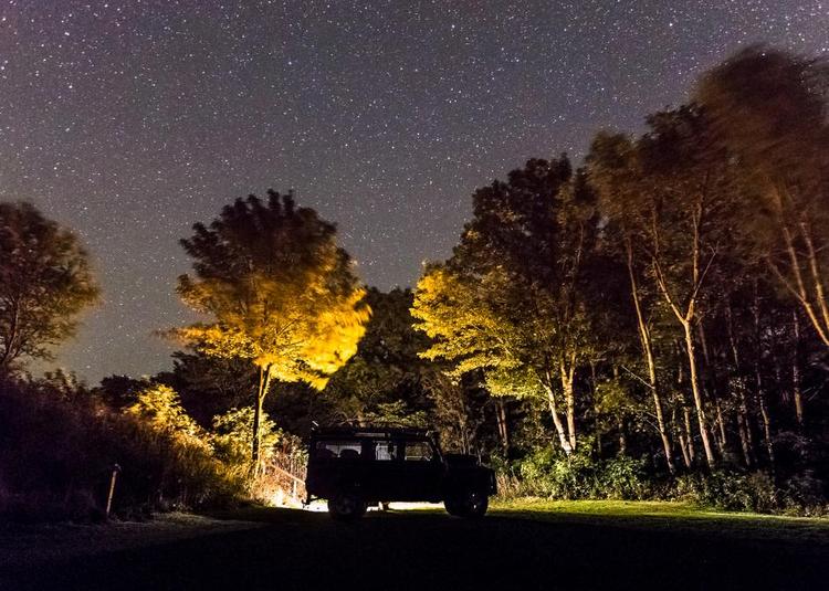 Stjernevæld. I nogle byer er lysforureningen så massiv, at nattehimlen stort set er uden stjerner. På Møn er en række lokale gået sammen om at bevare nattemørket. Er vejret klart, kan man se et væld af stjerner, galakser og andre astronomiske fænomener. Foto: Thomas Ix 