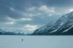 Film-The Revenant