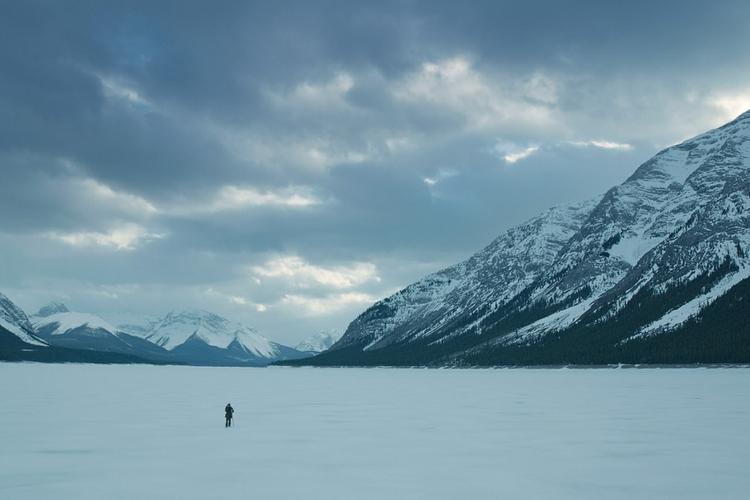 Film-The Revenant