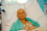 Forgiftet. Da Aleksandr Litvinenko var indlagt, vidste lægerne ikke, hvad han fejlede. Først efter hans død viste obduktionen, at den afhoppede russiske agent havde dødelige mængder af et sjældent radioaktivt stof i sig. Arkivfoto: Privatfoto/AP 