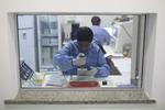 Smitte. En brasiliansk forsker arbejder med prøver af den frygtede zika-virus, som nu har smittet tre briter, der feriede i Sydamerika. 