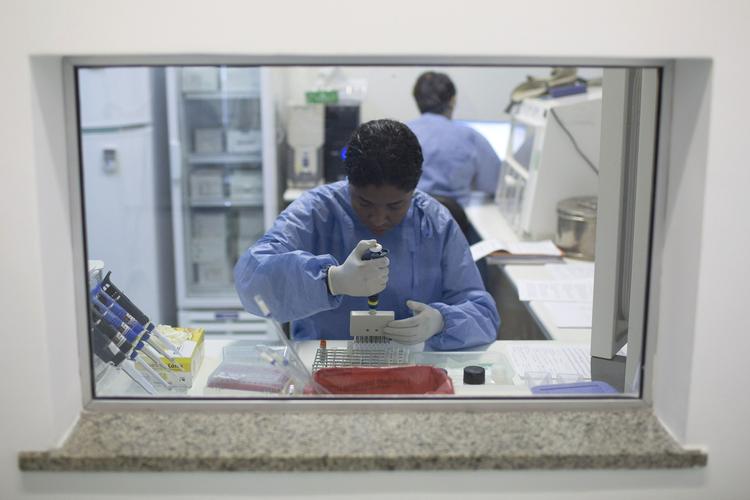Smitte. En brasiliansk forsker arbejder med prøver af den frygtede zika-virus, som nu har smittet tre briter, der feriede i Sydamerika. 