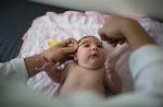 Zika-virus. Smitten, der især hærger i Sydamerika, kan give fosterskader. Obs. Billedet har ingen relation til den virus-ramte dansker. 