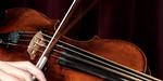 violin_w