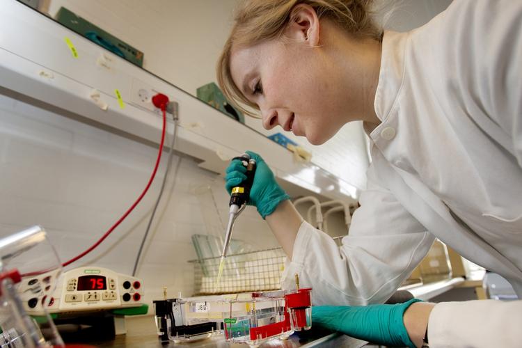 genkrig. Forsikringsselskaber vil have adgang til oplysninger i kundernes gentest, men nu går læger til modangreb i alliance med patientforeningen og forbrugerrådet. 