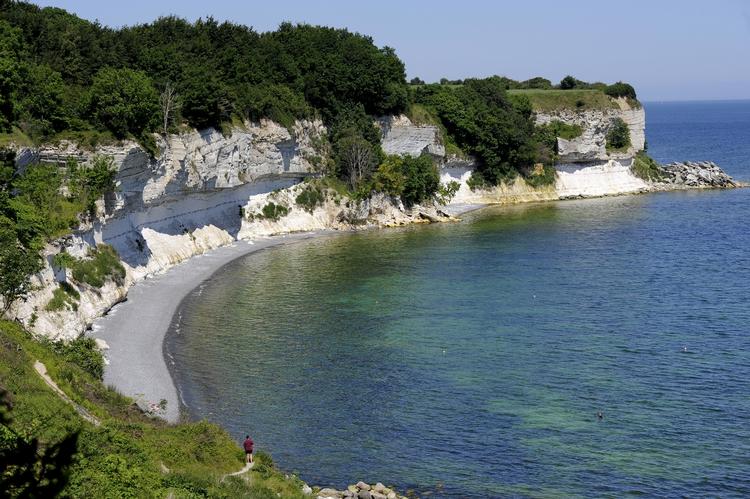 Planlov. Stevns Klint, som blev optaget på Unescos verdensarvsliste tilbage i 2014, hører under Stevns Kommune. Arkivfoto: Mik Eskestad 