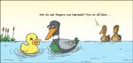 wm_2016-02-11