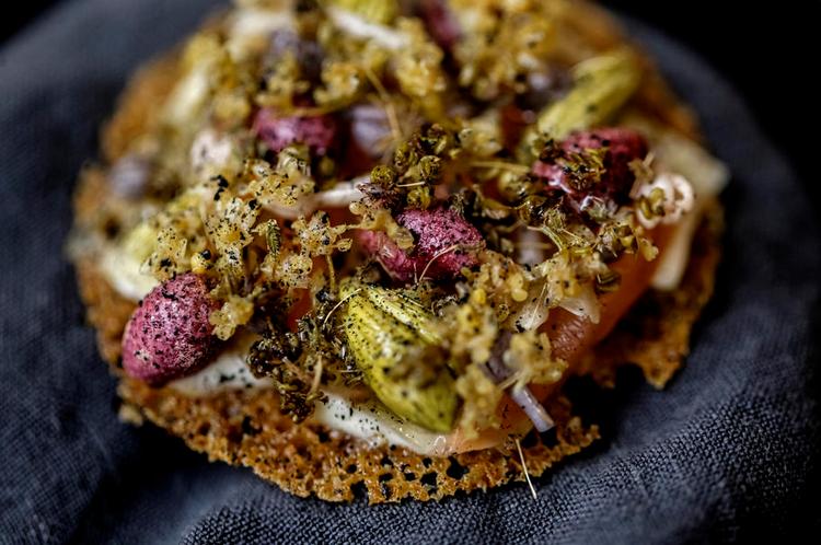 Naturlig. Kiks med spæde syltede grankogleskud, hyldeblomst og molboøsters. 