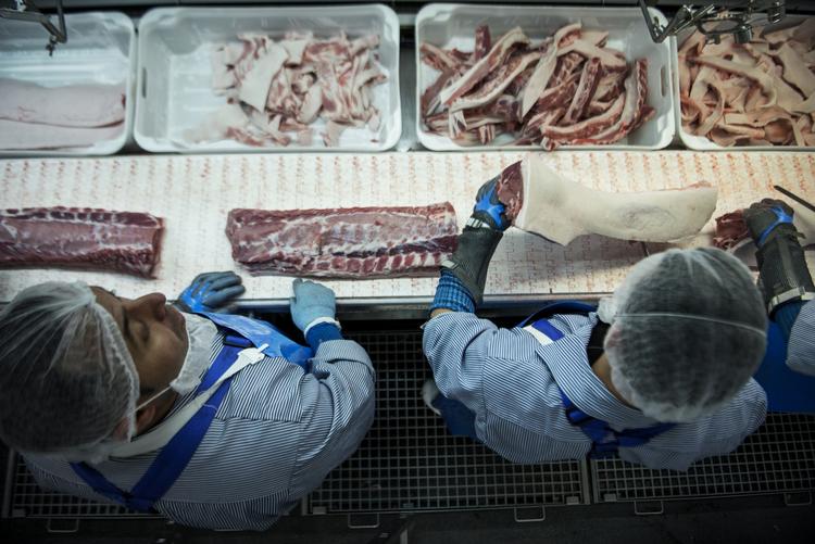 Elevløn. Fødevareforbundet NNF, der bl.a. organiserer på slagterierhvervet, bakker op om forslaget, der lader flygtninge starte i det danske arbejdsliv på elevløn. 