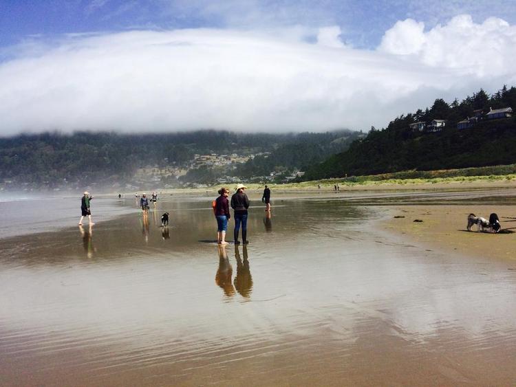 STRANDMEKKA. Både mennesker og hunde nyder livet på Oregons Stillehavskyst ved landsbyen Manzanita. 