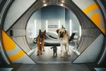 ANIMERET. Selv når han ikke er på skærmen, er han det alligevel. Han lagde stemme til den anatolske hyrdehund 'Butch' (til højre) i filmen 'Hund og Kat Imellem: Kitty Galores Hævn', der er hemmelig agent, men egentlig er lidt træt af alt spion-halløjet, og helst vil på (hunde)pension. 