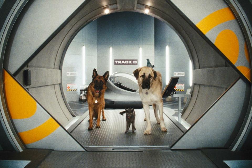 ANIMERET. Selv når han ikke er på skærmen, er han det alligevel. Han lagde stemme til den anatolske hyrdehund 'Butch' (til højre) i filmen 'Hund og Kat Imellem: Kitty Galores Hævn', der er hemmelig agent, men egentlig er lidt træt af alt spion-halløjet, og helst vil på (hunde)pension. 