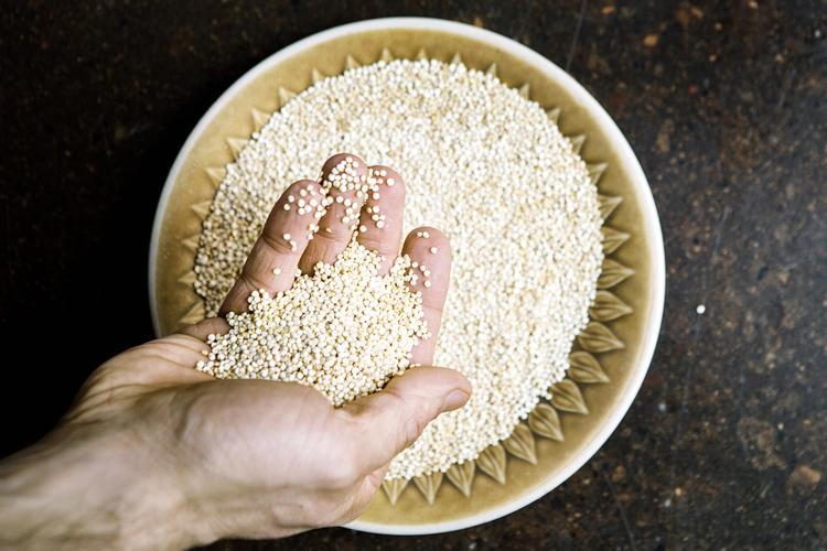 varmt. Økologisk quinoa er en af de ting, Netto i Hjallerup ikke troede på, man kunne sælge. 