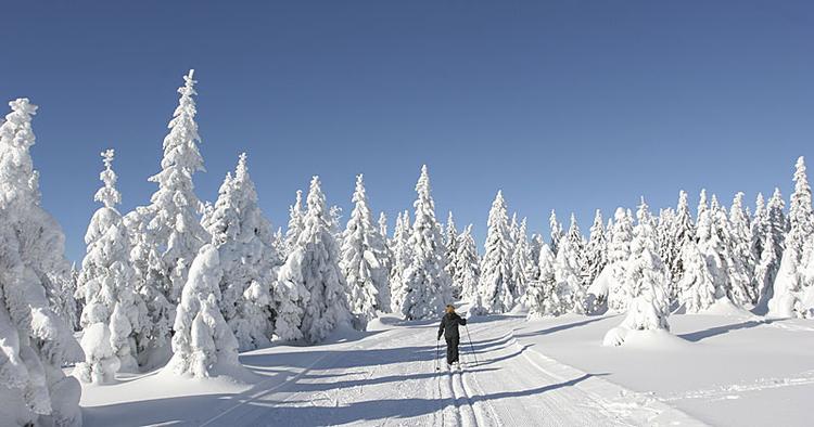 Naturoplevelse. Overraskende nok får man smukt og godt langrendsløb i Slovenien. Her er det fra Rogla. 