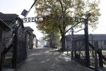 naziopgør. Indgangen til koncentrationslejren Auschwitz med indgangsskiltet 'Arbeit Macht Frei' (Arbejde gør fri). Nu bliver en af lejrens vagter stillet foran en dommer. 