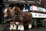 hyphyp. De store bryggerheste er stadig en del af arbejdskraften på Carlsberg. I vinterferien kan du være med, når de bliver gjort klar til dagens rute. 