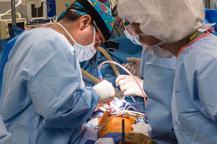 Død. En af de seks, der afgik ved døden, efter at Paolo Macchiarini havde indsat et plastikluftrør imprægneret med patientens egne stamceller, var den 2-årige Hannah Warren. Operationen, der ses her, blev i april 2013 udført på Children's Hospital i Peoria, Illinois, i USA. Hannah Warren døde tre måneder senere. Arkivfoto: Jim Carlson/AP 