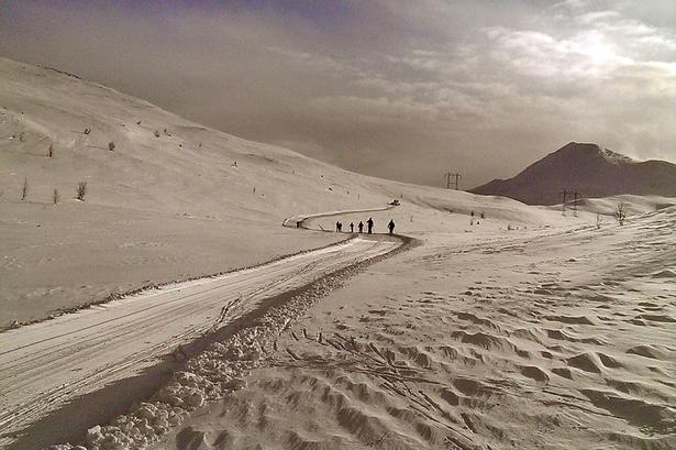 Langrend. På vej til Bingsbu over Espedalen i Norge. 