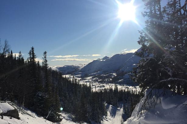 Sol. Fra Gaustablikk i Norge. Ifølge fotografen et »skønt sted«. 