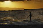 Hawaii. Mens resten af verden er optaget af zikavirus, er de amerikanske øer ramt af dengue feber. Nu er der erklæret nødretstilstand. 