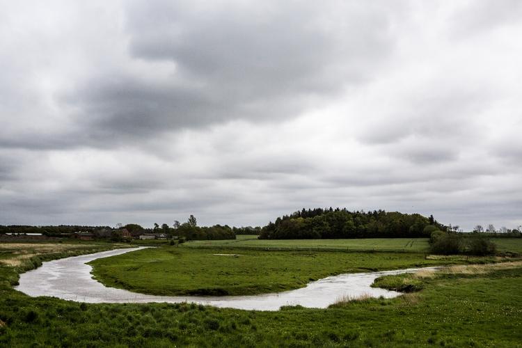 Nedsivning. Forskerne udtaler, at det ser ud som om, at miljø- og fødevareministeren gerne vil gøre landbrugpakken grønnere, end den i virkeligheden er 