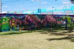 Florida. Wynwood Walls i Miami rummer flot graffiti af forskellige kunstnere, her Lady Pink. Hele bydelen rundt om disse vægge er fyldt med flot graffiti. Det startede i år 2009, hvor Tony Goldman tog initiativ til denne markante fornyelse af en lidt kedelig, industriel bydel. 