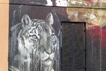 Cape Town. Denne kunstnerisk udførte løve pyntede en godt slidt etageejendom beliggende i en mørk sidegade i kvarteret i nærheden af District Six museet. 