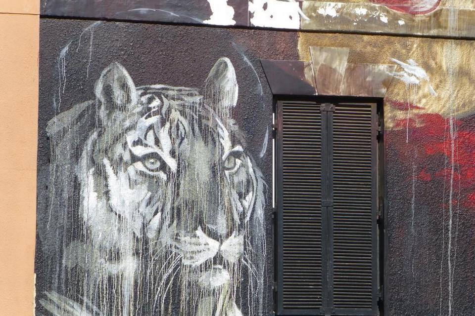 Cape Town. Denne kunstnerisk udførte løve pyntede en godt slidt etageejendom beliggende i en mørk sidegade i kvarteret i nærheden af District Six museet. 