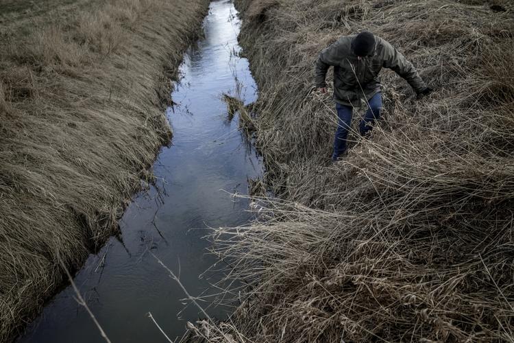Kollision. Eksperter mener, at Eva Kjer Hansens landbrugspakke kan være i strid med flere EU-direktiver. 