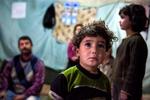 Flugt. 3-årige Majid virker upåvirket af krig og flugt. Hans forældre og søskende er pressede. 