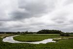 Kritik. Natur og miljø var ikke en prioritet, da landbrugspakken skulle lande, fortæller anonyme embedsmænd i Miljø- og Fødevareministeriet. 
