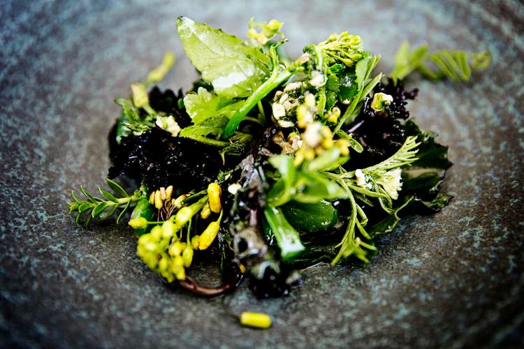Smukt. Det er retter som disse besøgende på Bornholms nye michelinrestaurant Kadeau kan opleve. 
