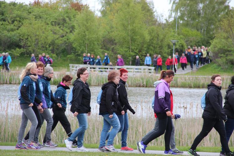 VANDRINGSKVINDER. Mere end 40.000 deltager hvert år i velgørenhedsgåturen Ladywalk, her fra Frederikshavn 2015. 