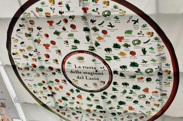 Lær. Årstidens grøntsager bliver taget alvorligt i den italienske madlavning. Her viser grøntsagshjulet, hvilke grøntsager der er i sæson i regionen Lazio, hvor Rom ligger. 