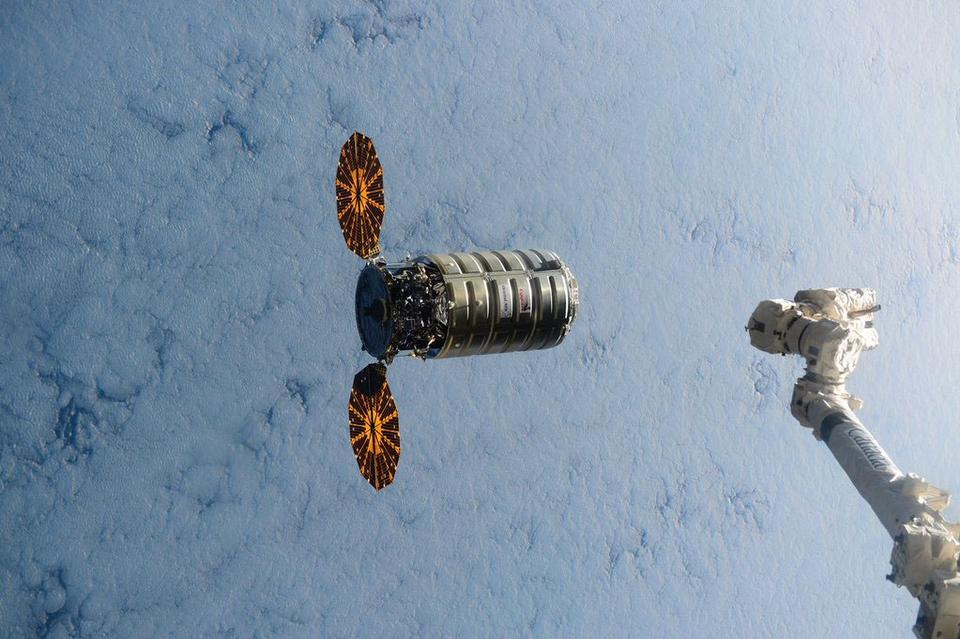 Scott Kelly/AP