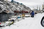 Klima. Er det virkelig Nuuk i februar? Fjorden er isfri, fjeldene er mere brune end hvide, og det tynde snelag på molen fejes let væk af kraftige vinde. 