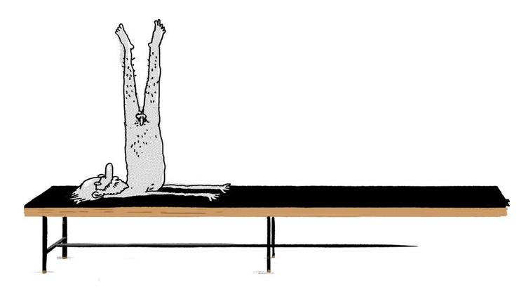 Guide. Politiken hjælper dig med at finde frem til, hvilken retrotype du hører til. Måske er du den internationale feinschmecker? 