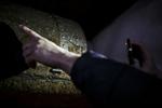 BEVARING. Mange museer kæmper med dårlige opbevaringsforhold for deres historise genstande - som her, hvor en gammel kiste er ramt af skimmel i et utæt magasin på Museet Koldinghus. Nu bliver der færre penge til konserverings- og bevaringsarbejdet. 