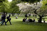 Ahhh. Forår i Kongens Have. Det har vi ventet længe på! 