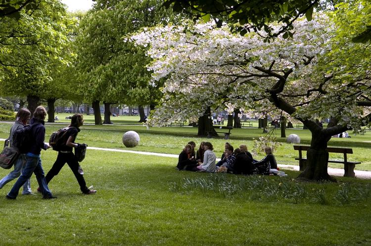Ahhh. Forår i Kongens Have. Det har vi ventet længe på! 