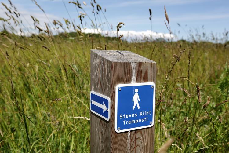 STEVNS. Godt forsøgt, ejendomsmæglertyper... 