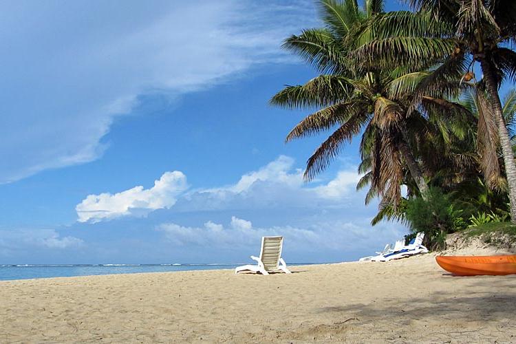 Rarotonga_Palm-Groves-Beach-Vaimaaga_Robert-Linsdell_Flickr