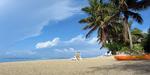 Rarotonga. Helt klassisk, helt vildt tillokkende. Palm Grove's Beach på newzealandske Rarotonga, der er en del af Cook-øerne. Foto: Robert Linsdell / Flickr CC 