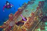 Bonaire