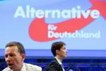 Valgkamp. Det højrepopulistiske part 'Alternative für Deutschland' ligger i meningsmålingerne til at slå igennem for alvor i tysk politik. 