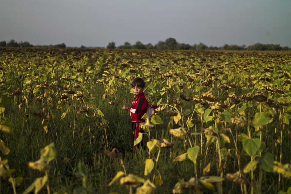 Muhammed Muheisen/AP