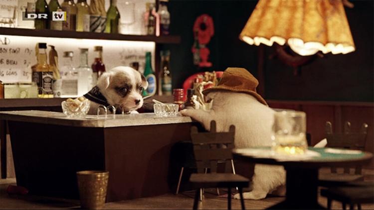 Hvalpe. Bag og foran baren. 