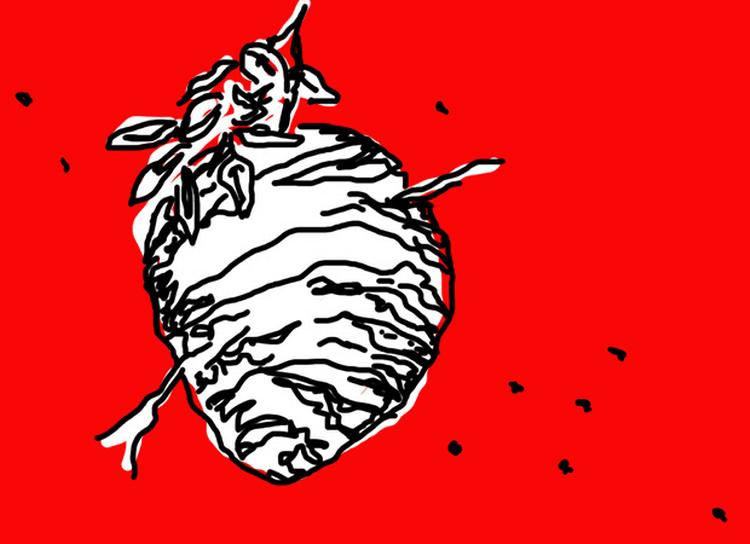 Afgørelse. I dag faldt der dom i den største del af menneskehandels-komplekset, politiet har døbt 'Operation Hvepsebo'. Illustration: Christine Vierø Larsen. 