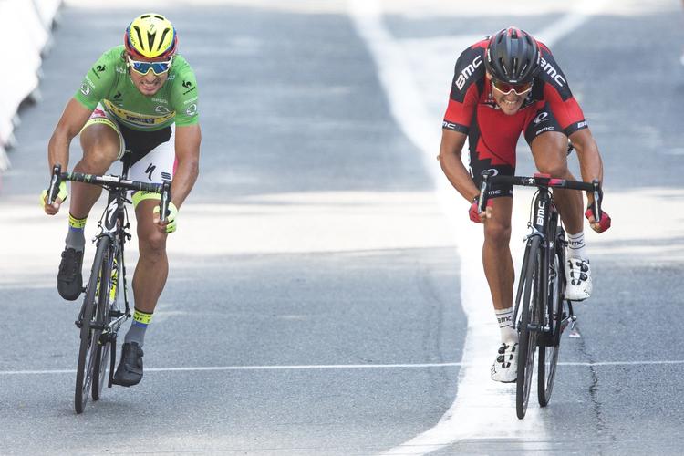 toer. Også ved denne lejlighed - på 13. etape af Tour de France 2015 - blev Peter Sagan (tv) nummer to. 