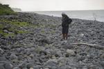EFTERSØGNING. Beboere på den franske ø Reunion leder efter vragdele fra MH370 på strandene. 